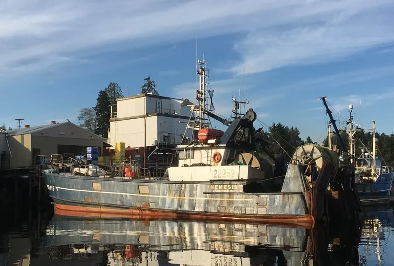 NEMESIS General Cargo IMO 7366245 photo 2