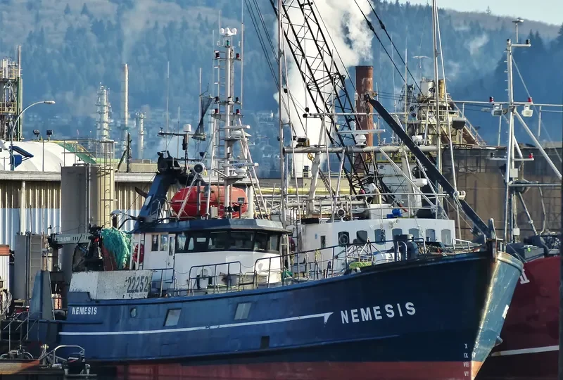 NEMESIS General Cargo IMO 7366245 photo 5