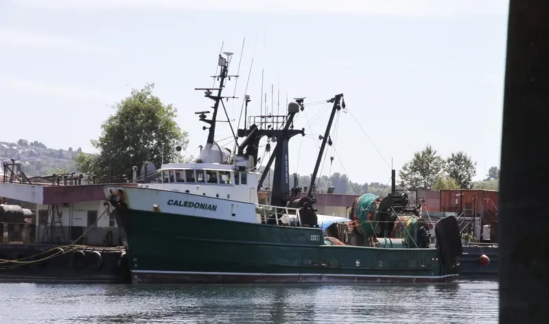 CALEDONIAN General Cargo IMO 7366257 photo 4