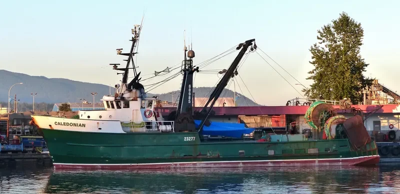 CALEDONIAN General Cargo IMO 7366257 photo 5