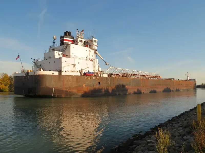 H.LEE WHITE Bulk Carrier IMO 7366362 photo 4