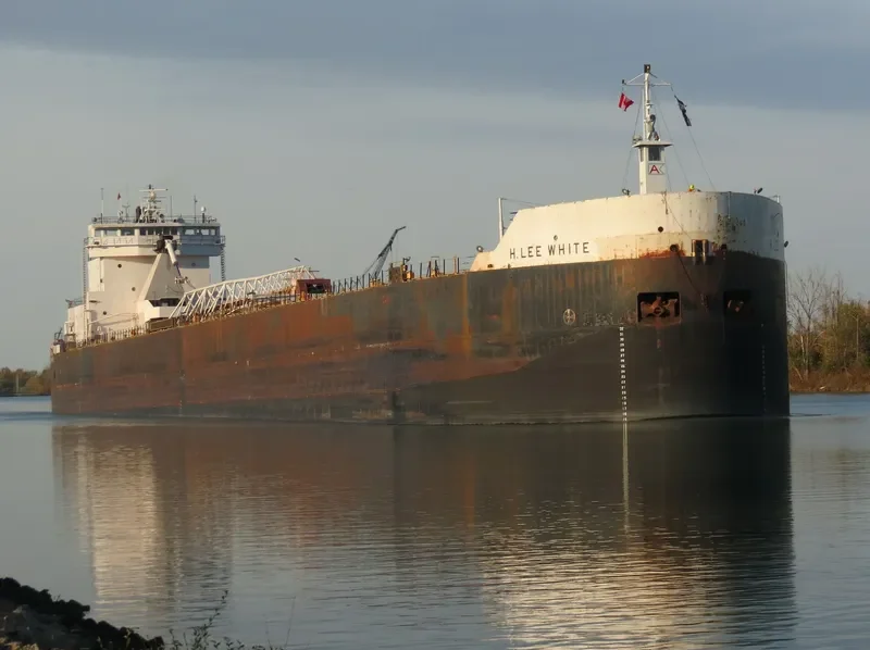 H.LEE WHITE Bulk Carrier IMO 7366362 photo 5