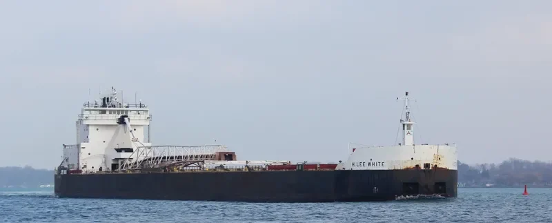 H.LEE WHITE Bulk Carrier IMO 7366362 photo 8