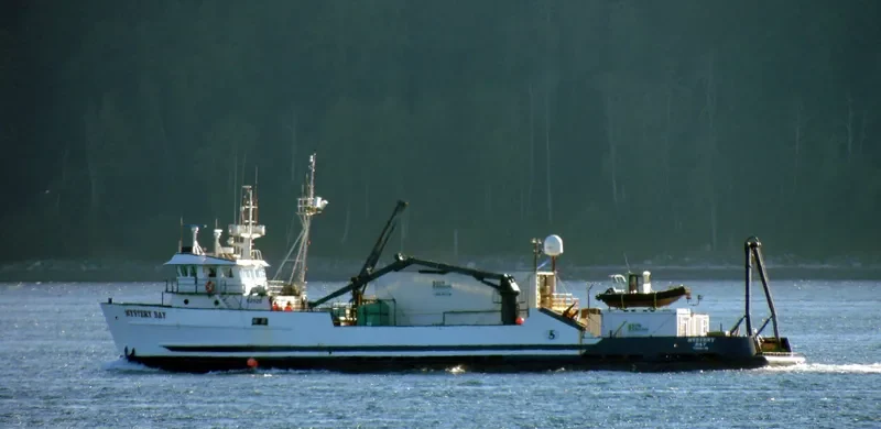 MYSTERY BAY General Cargo IMO 7366831