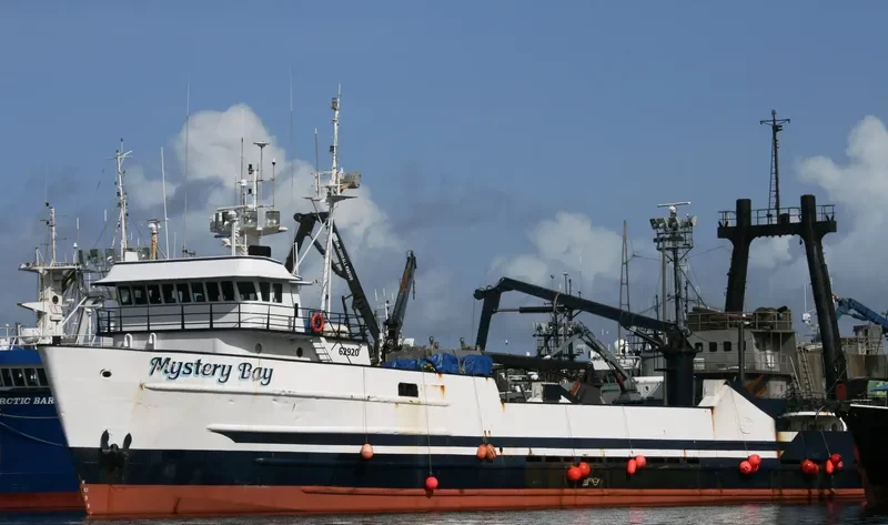 MYSTERY BAY General Cargo IMO 7366831 photo 8