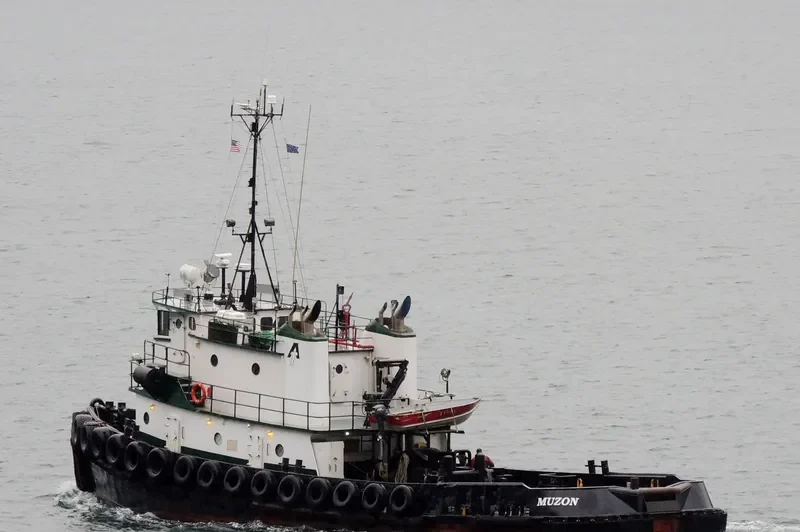 MUZON General Cargo IMO 7366972