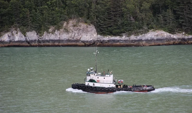 MUZON General Cargo IMO 7366972 photo 3