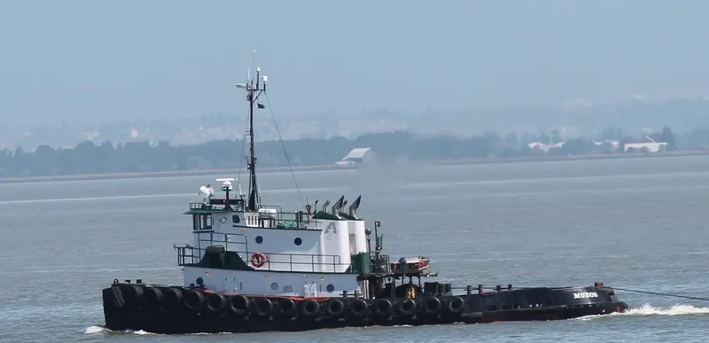 MUZON General Cargo IMO 7366972 photo 9