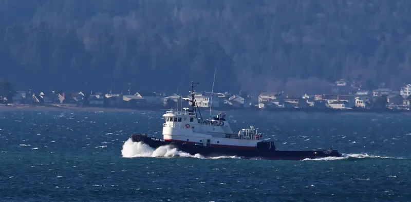 POLAR KING General Cargo IMO 7367158 photo 3