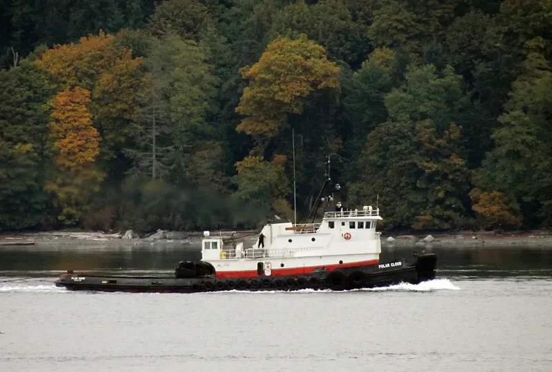 POLAR CLOUD General Cargo IMO 7367172 photo 4