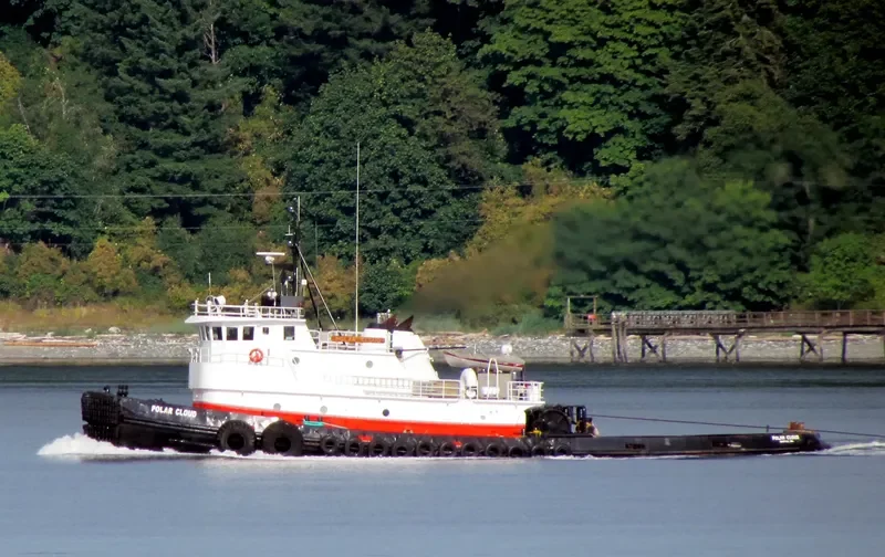 POLAR CLOUD General Cargo IMO 7367172 photo 8