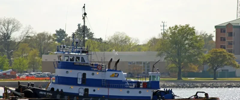 DON JAIME Tug Boat IMO 7367263 photo 10