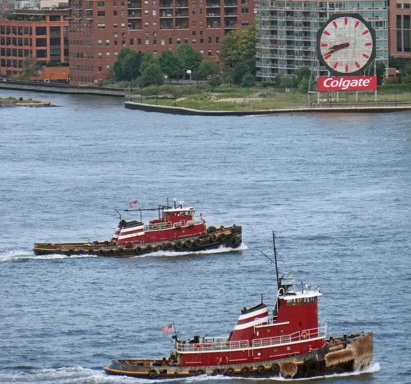 RESOLUTE General Cargo IMO 7367419