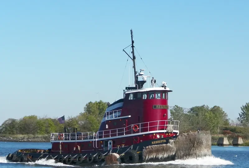 RESOLUTE General Cargo IMO 7367419 photo 3