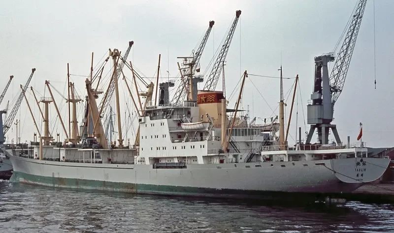 TAO LIN General Cargo IMO 7367574