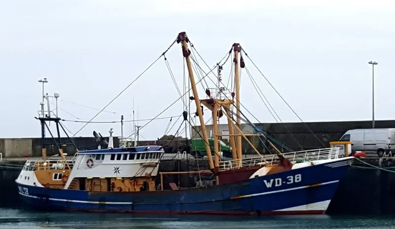 SALTEES QUEST General Cargo IMO 7367720 photo 2