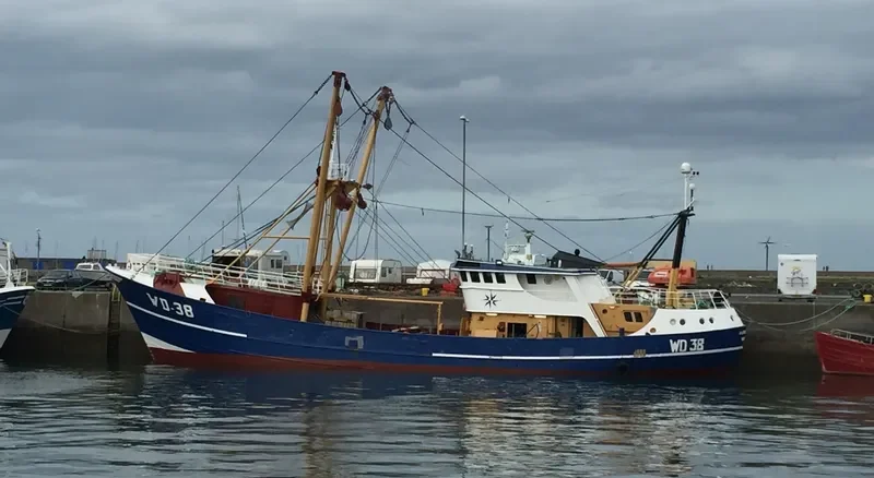 SALTEES QUEST General Cargo IMO 7367720 photo 3