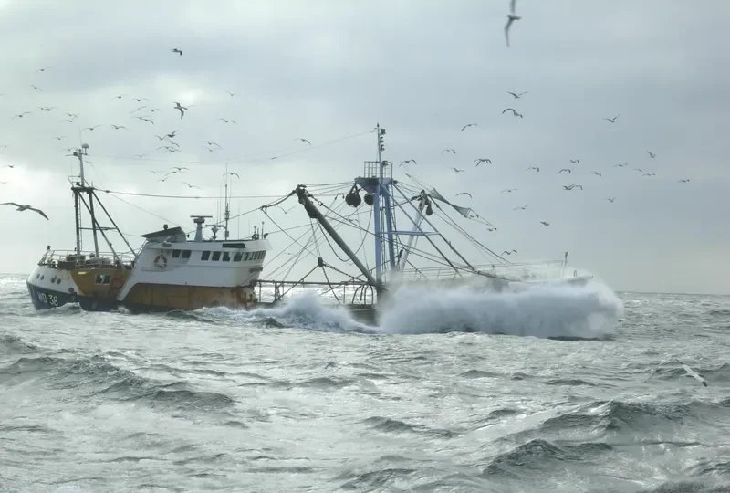 SALTEES QUEST General Cargo IMO 7367720 photo 5