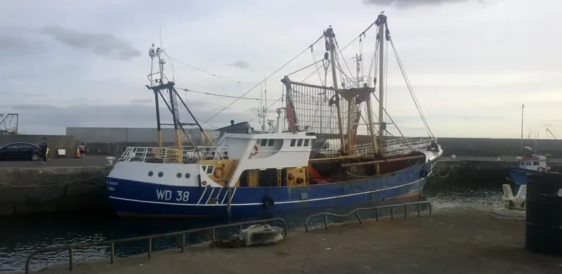 SALTEES QUEST General Cargo IMO 7367720 photo 7