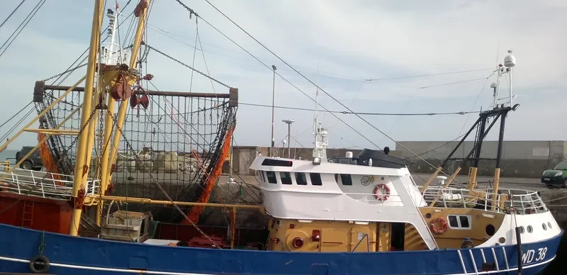 SALTEES QUEST General Cargo IMO 7367720 photo 8