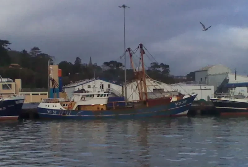 SALTEES QUEST General Cargo IMO 7367720 photo 10