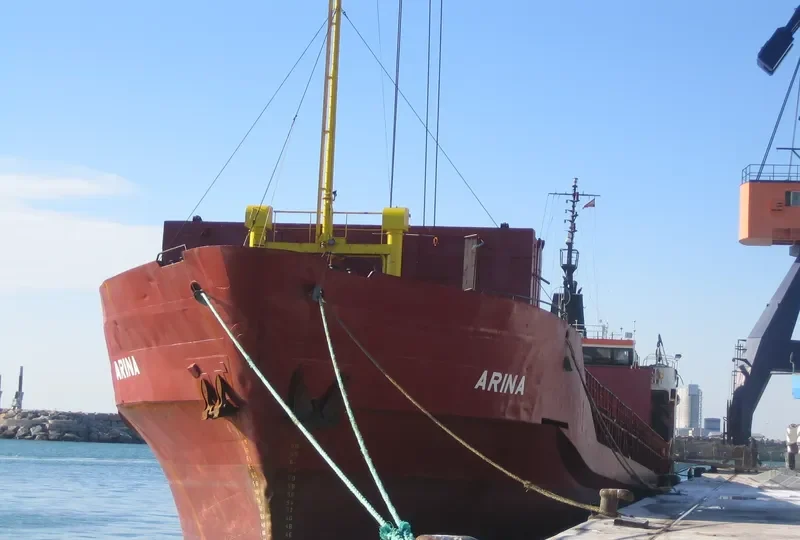 ARINA General Cargo IMO 7367964 photo 3