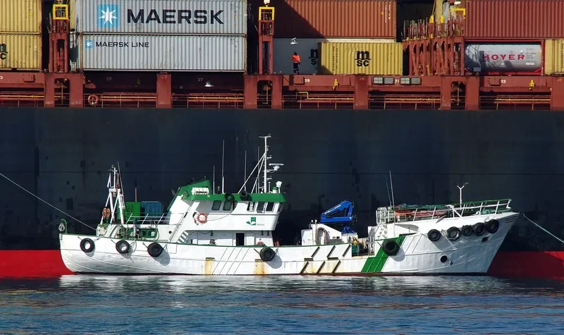 CLEANHULL TRES General Cargo IMO 7368035