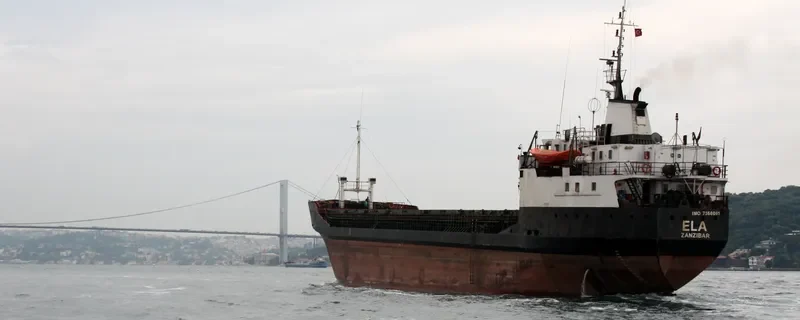 ELA General Cargo IMO 7368061
