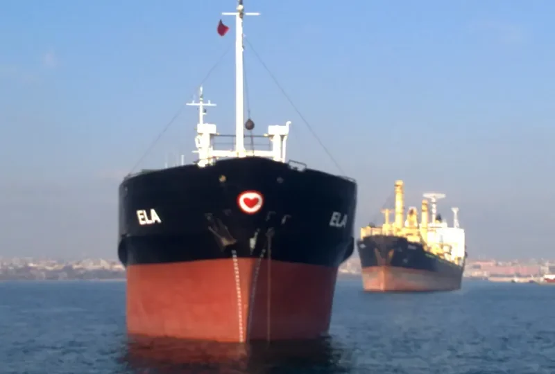 ELA General Cargo IMO 7368061 photo 3