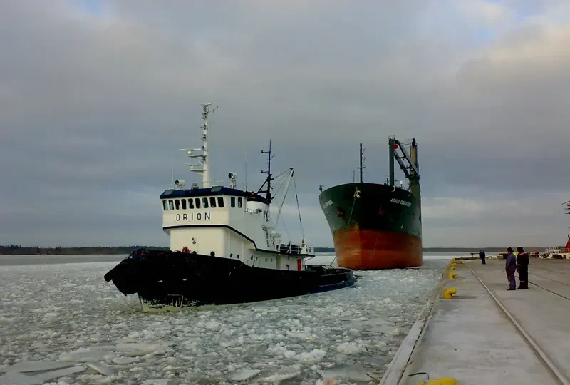 ORION General Cargo IMO 7368580 photo 10