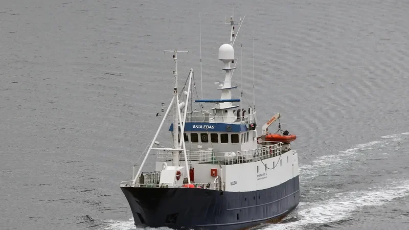 SKULEBAS SENIOR General Cargo IMO 7368695 photo 6