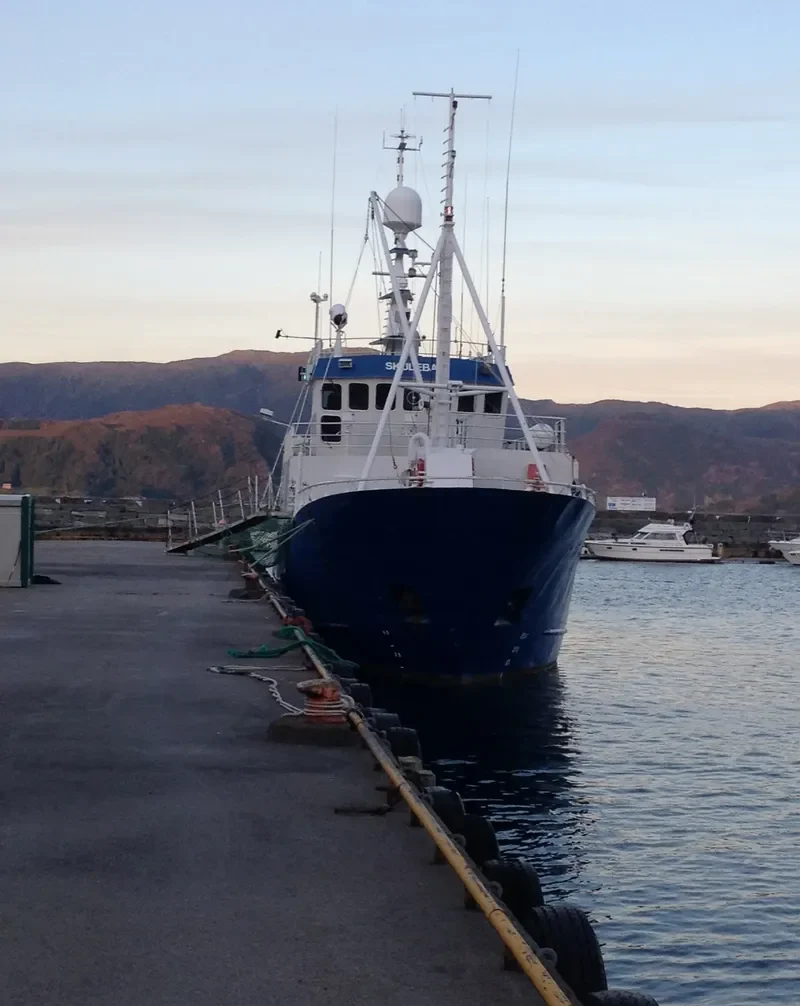 SKULEBAS SENIOR General Cargo IMO 7368695 photo 7