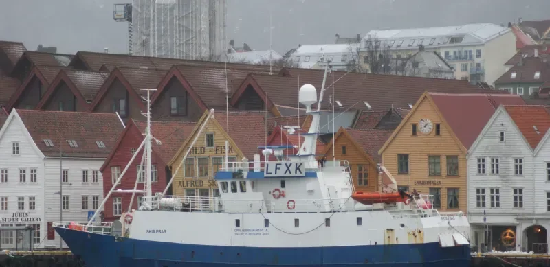SKULEBAS SENIOR General Cargo IMO 7368695 photo 9