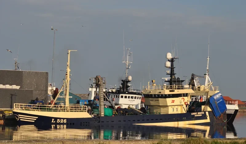 SUSANITA L228 General Cargo IMO 7368970 photo 7