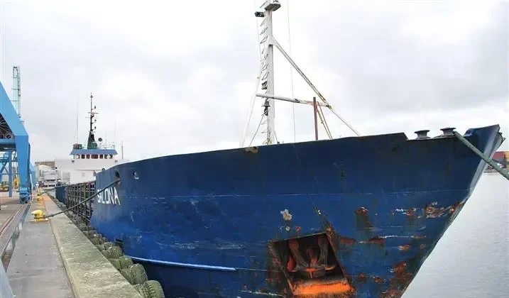 SALONA General Cargo IMO 7368994 photo 9