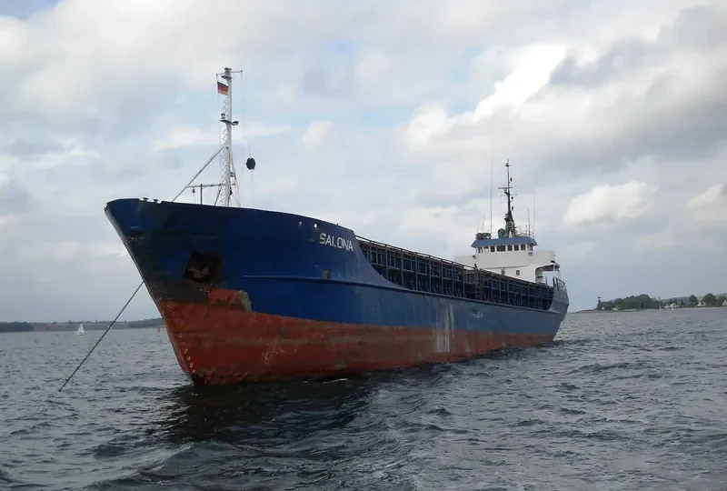 SALONA General Cargo IMO 7368994 photo 10