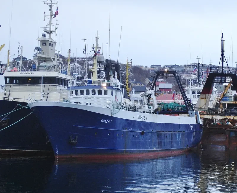 OLGA 1 General Cargo IMO 7369089 photo 3