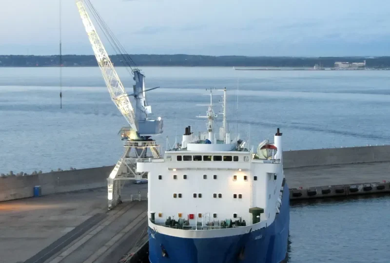 ANA Ro-Ro IMO 7369118