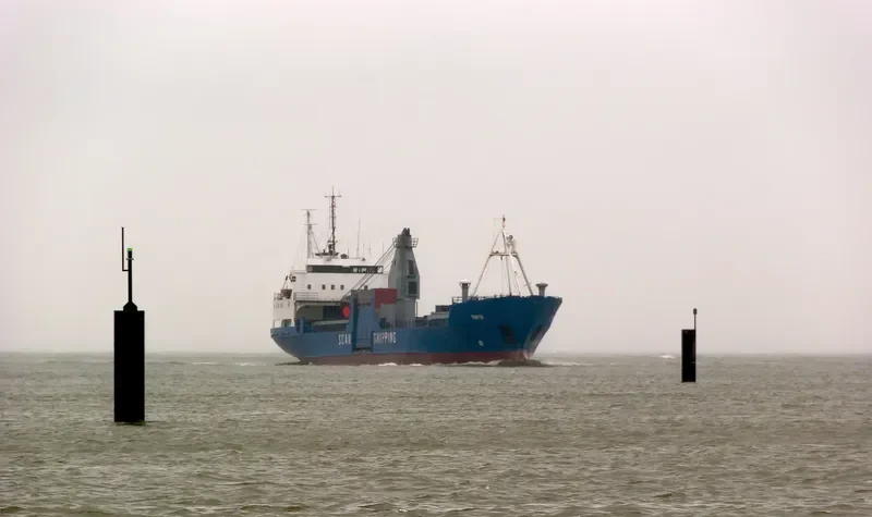 TINTO General Cargo IMO 7369168 photo 10