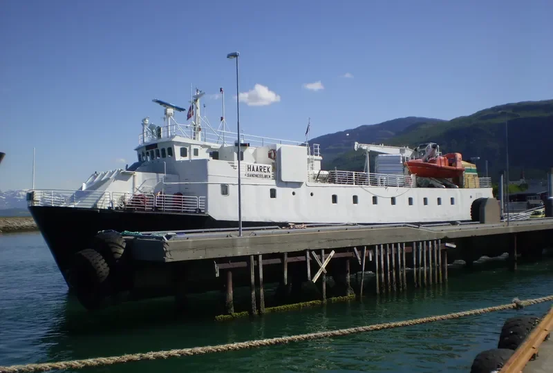 HAAREK Ro-Ro IMO 7369170 photo 8