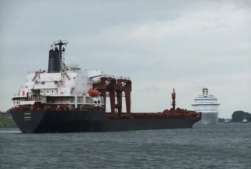 TSURU General Cargo IMO 7374230 photo 4