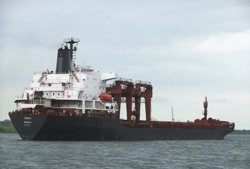TSURU General Cargo IMO 7374230 photo 5