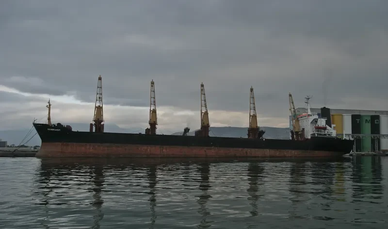 ORIENT III General Cargo IMO 7374632 photo 2