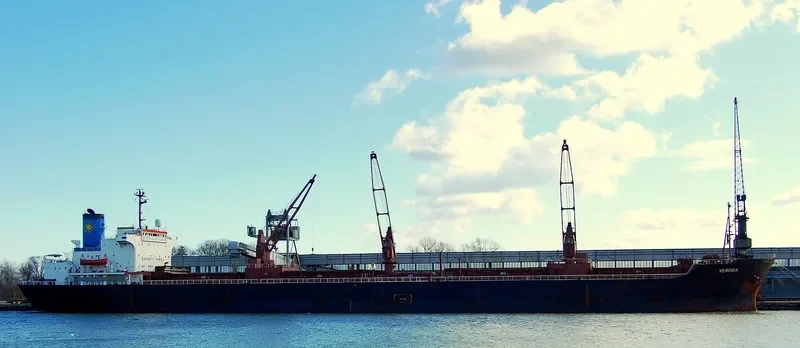 VERGINA Bulk Carrier IMO 7375260 photo 3