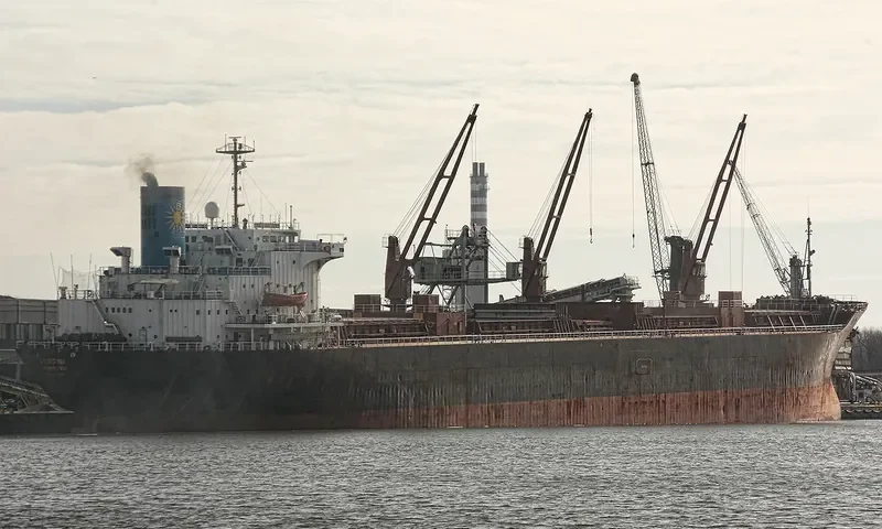 VERGINA Bulk Carrier IMO 7375260 photo 4