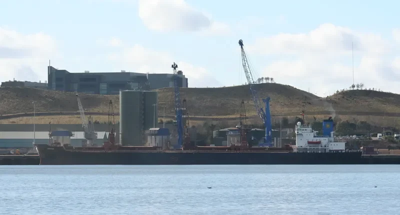 VERGINA Bulk Carrier IMO 7375260 photo 6