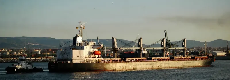 MATHIOS Bulk Carrier IMO 7375301