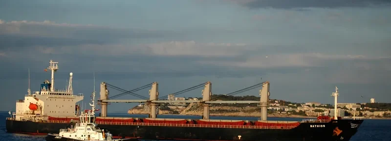 MATHIOS Bulk Carrier IMO 7375301 photo 3
