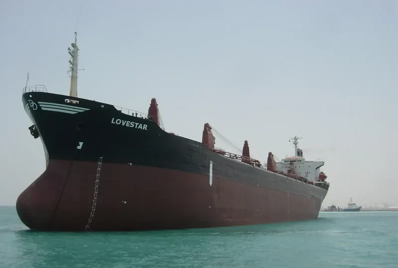 LOVESTAR Bulk Carrier IMO 7375600 photo 4