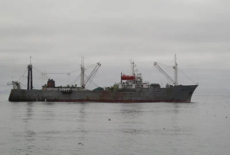 ZALIV ZABIYAKA General Cargo IMO 7376410 photo 5